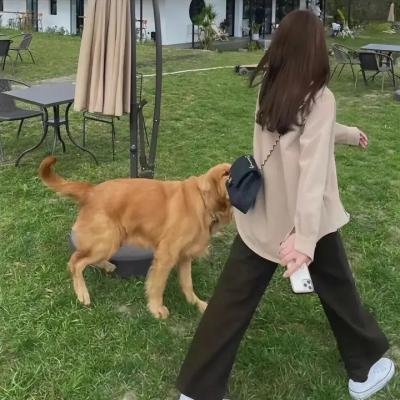 我们的错误
